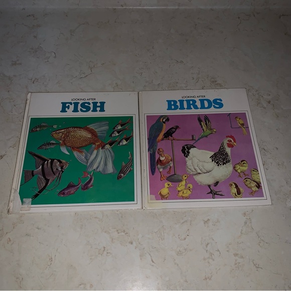 8 Helen Haywood Book Lot Looking After Insects Dogs Cats Fish Horse Birds Mice - Picture 7 of 15